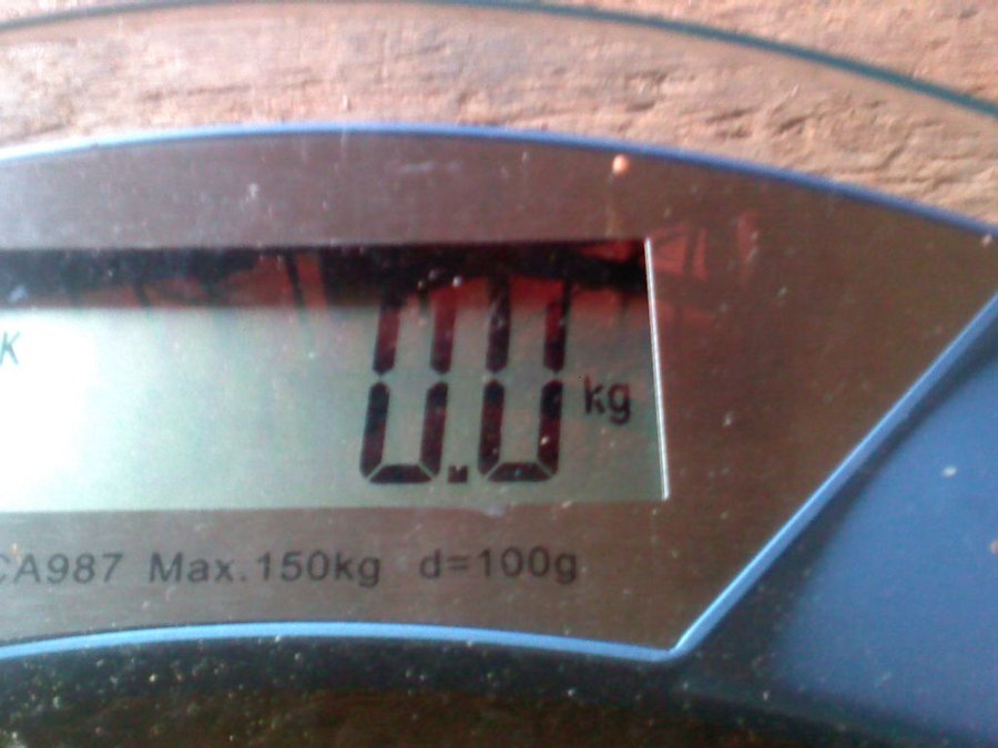 2011-12-14-315.jpg