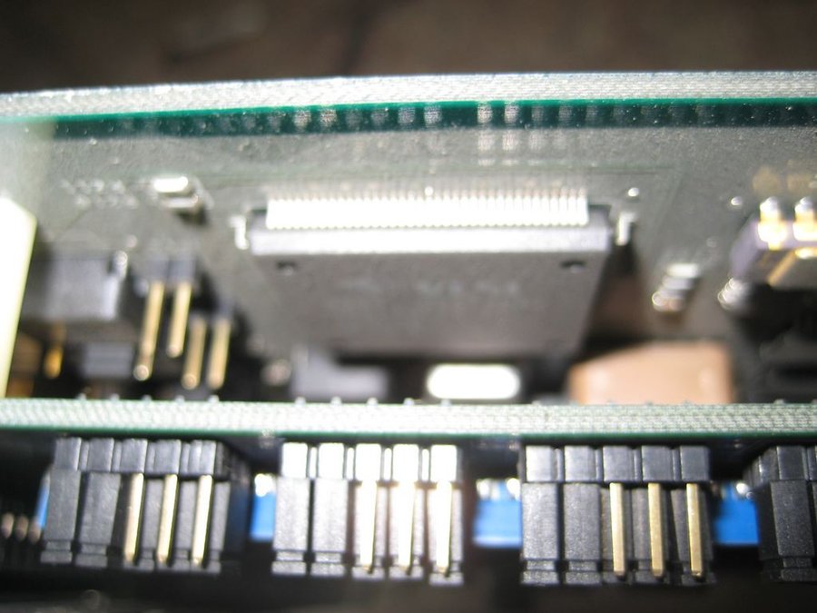 nEO_IMG_IMG_4629.jpg