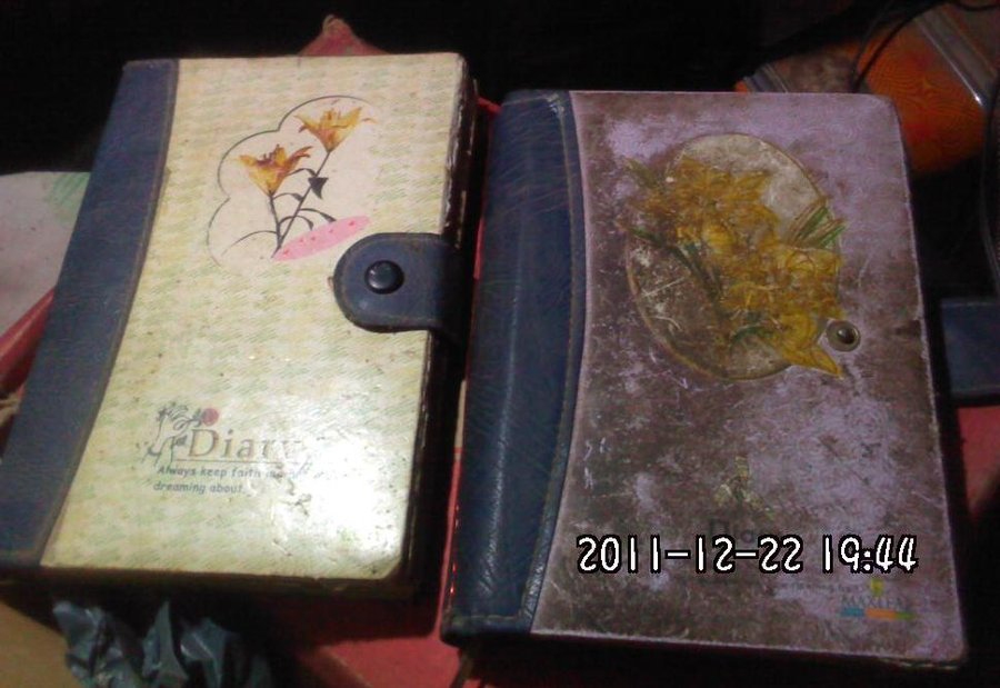 2011-12-22-255.jpg