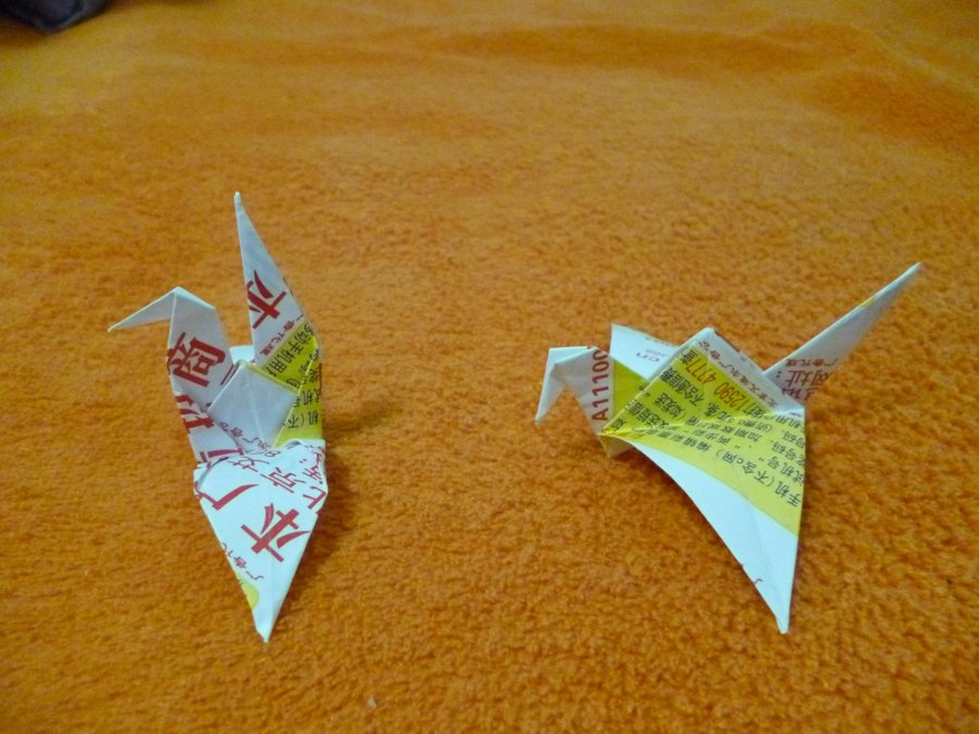 P1010361.JPG