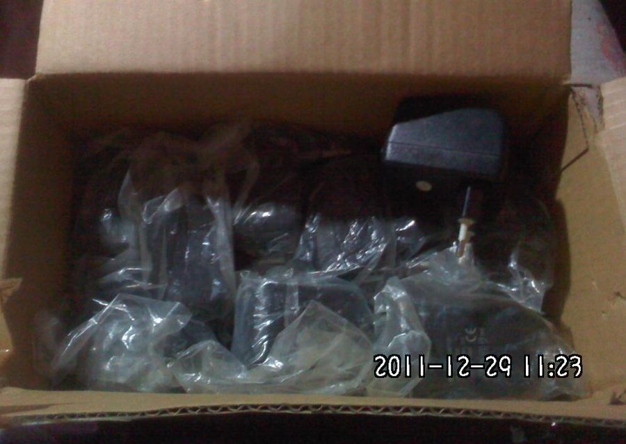 2011-12-29-599.jpg