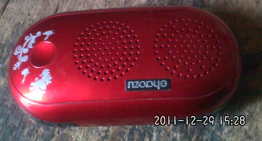 2011-12-29-604.jpg