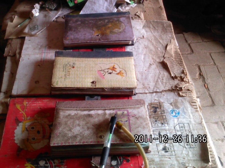2011-12-26-483.jpg