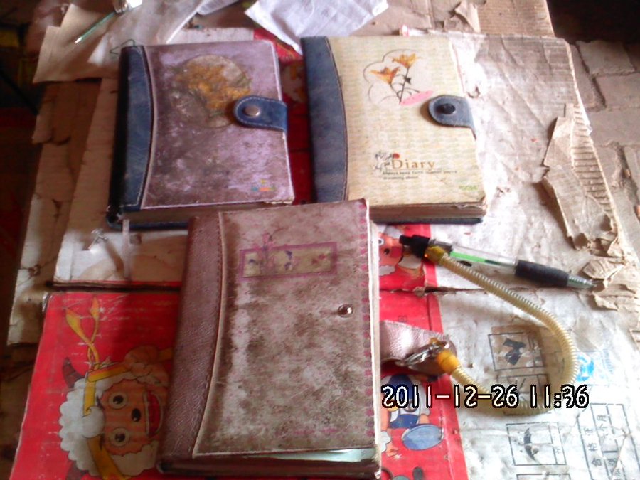 2011-12-26-484.jpg