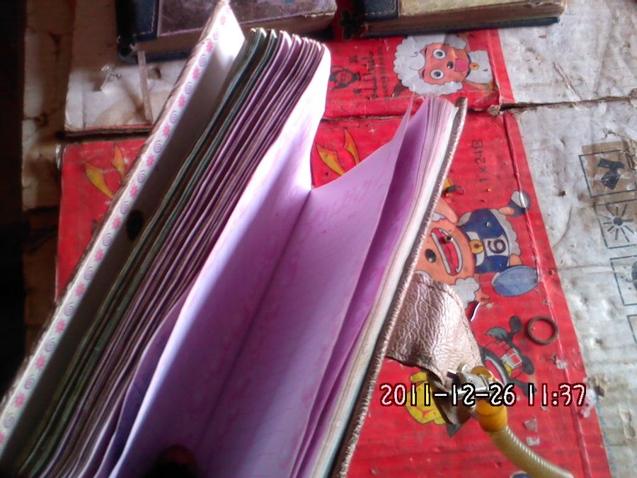 2011-12-26-486.jpg