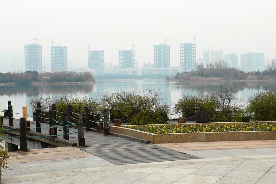 P1380157.10.jpg