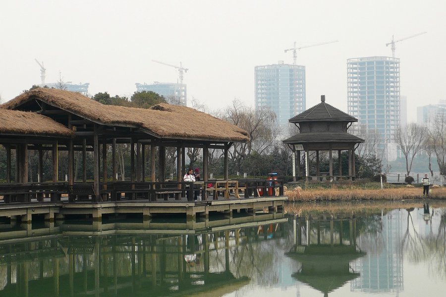 P1380180.10.jpg