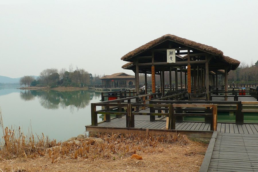 P1380184.10.jpg