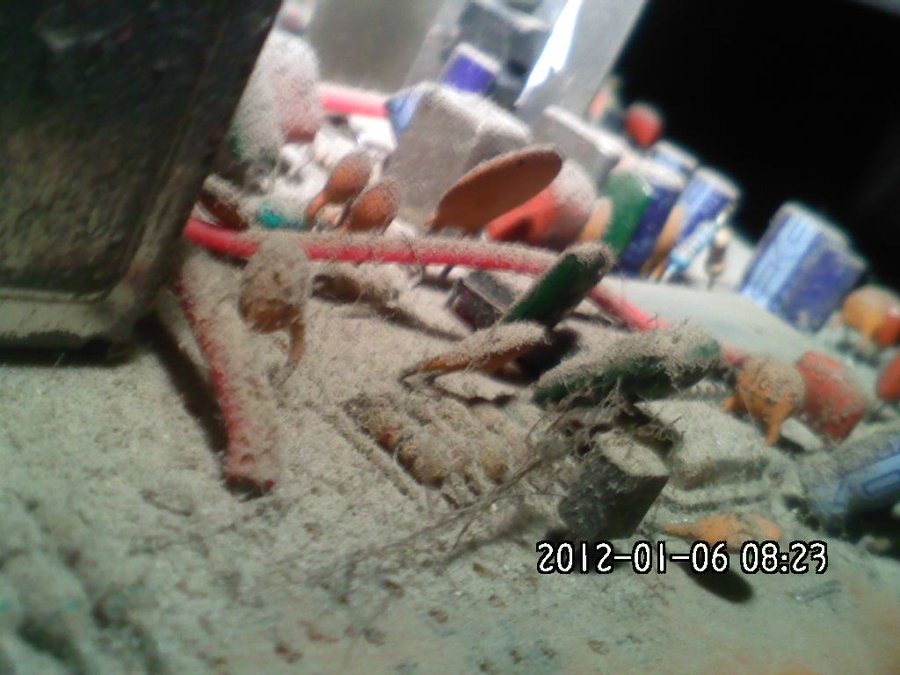 2012-01-06-914.jpg