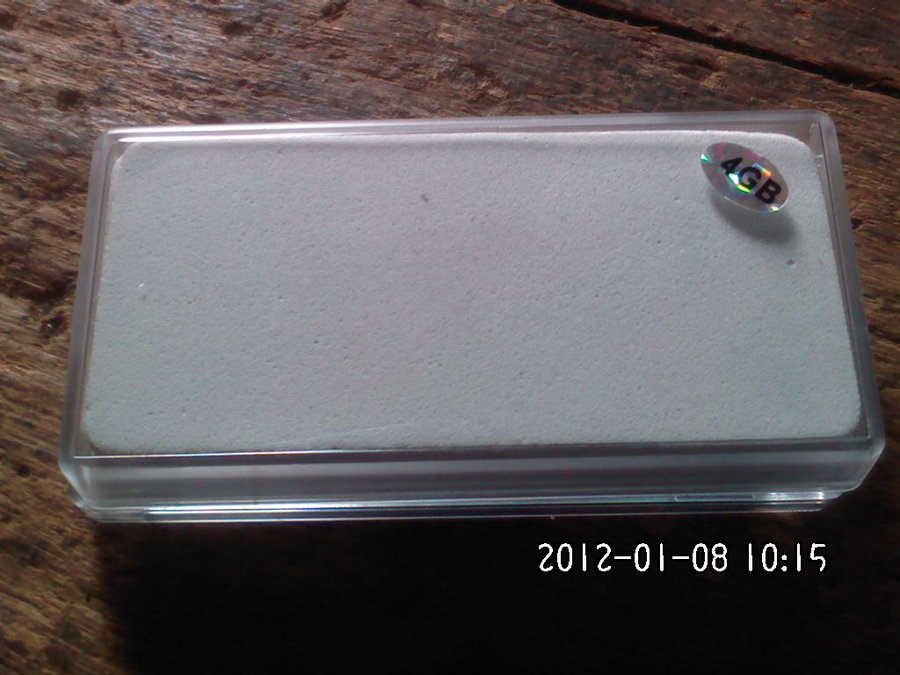 2012-01-08-005.jpg