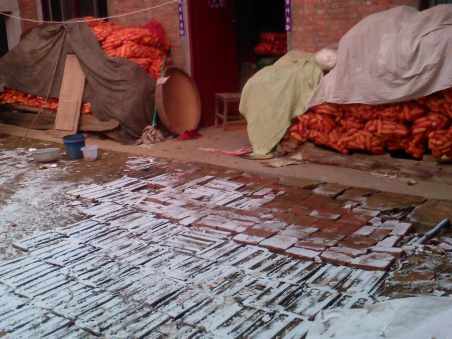 2012-01-22-524.jpg