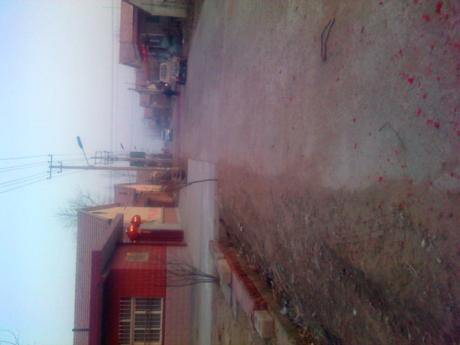 2012-01-23-163.jpg