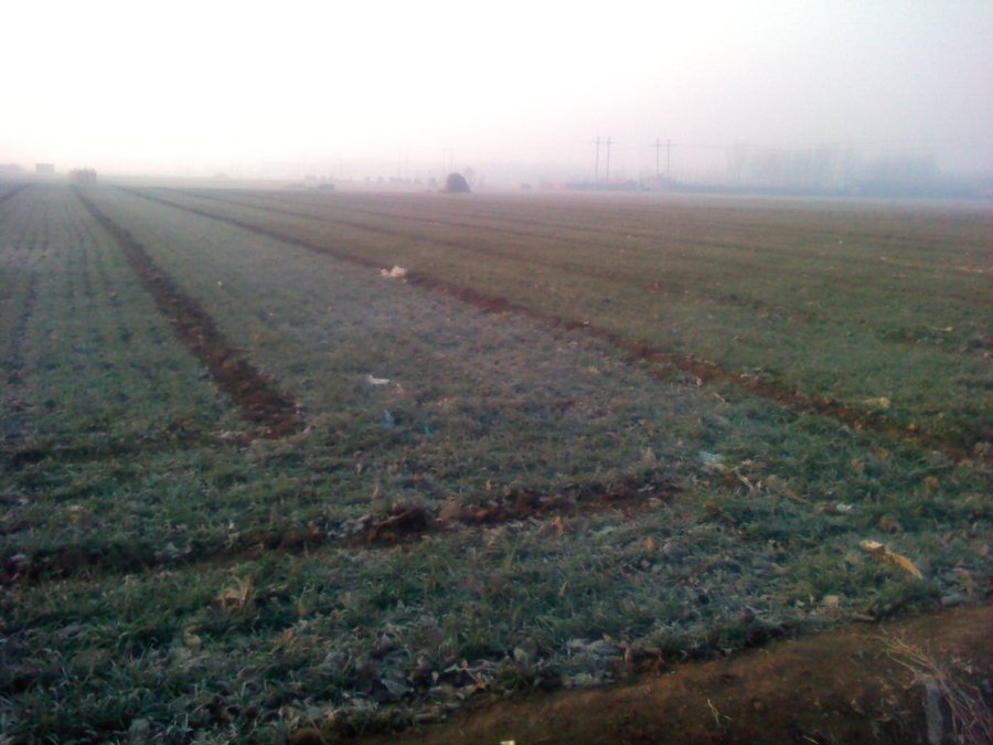 2012-01-23-170.jpg