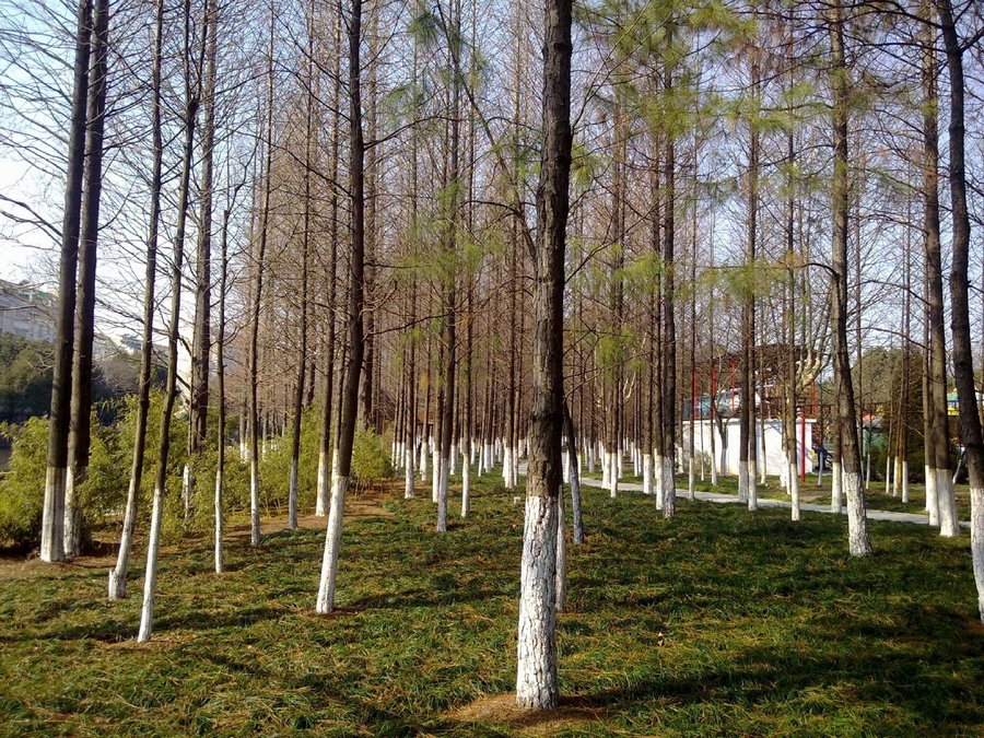 20120203244.jpg