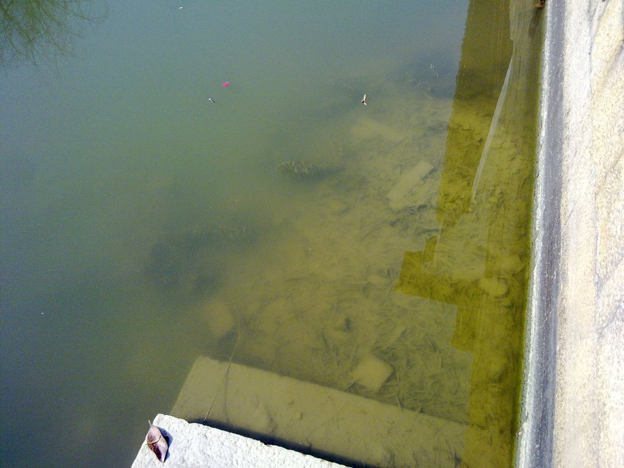 20120203247.jpg