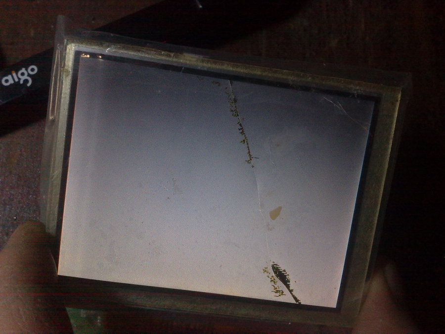 201202054051.jpg