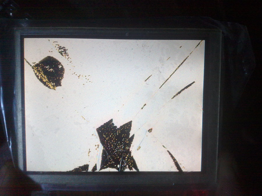201202054057.jpg