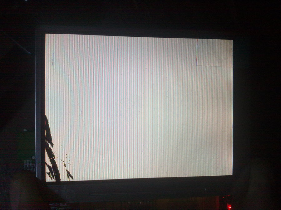 201202054059.jpg