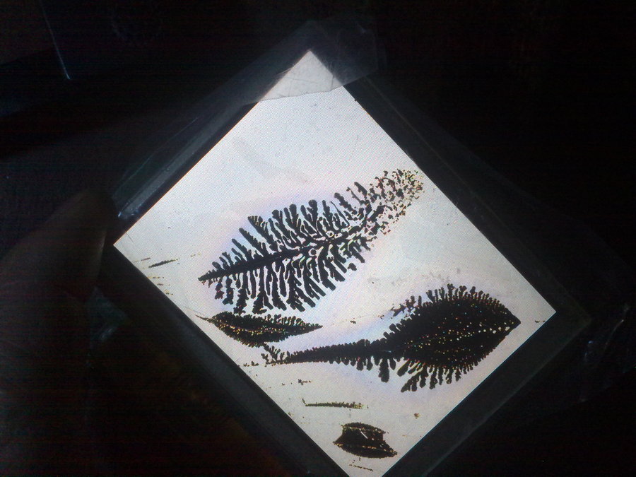 201202054066.jpg