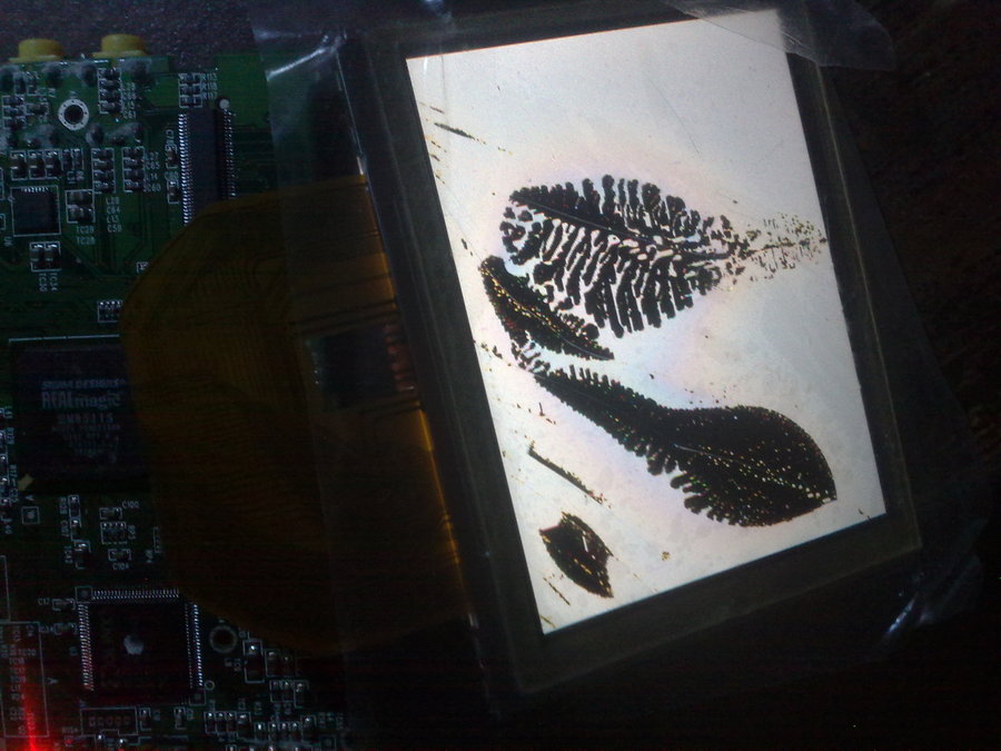 201202054067.jpg