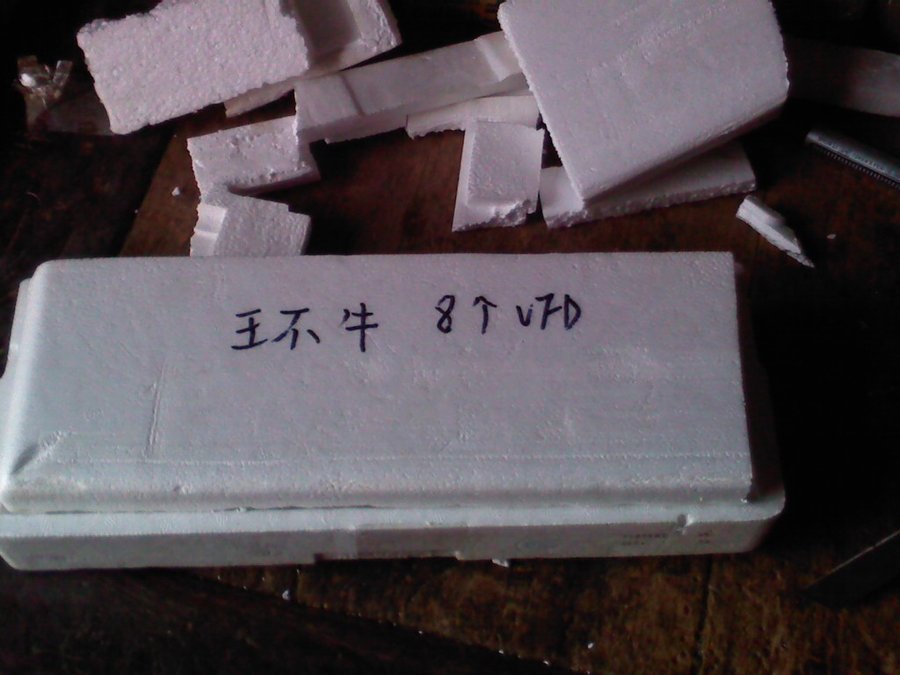 2012-02-06-982.jpg