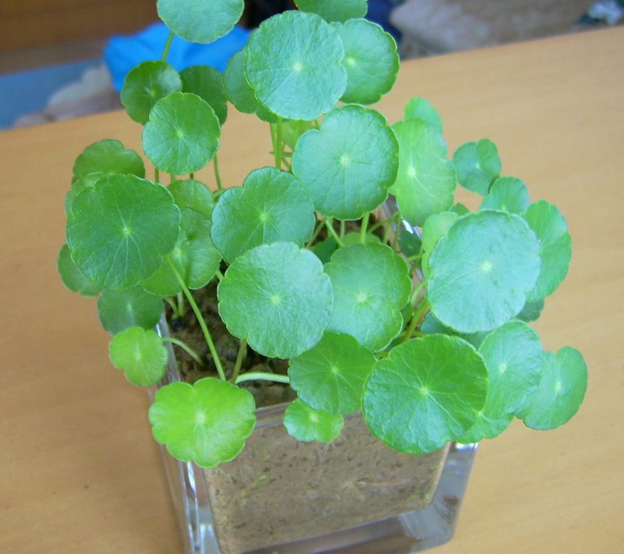 照片 071.jpg