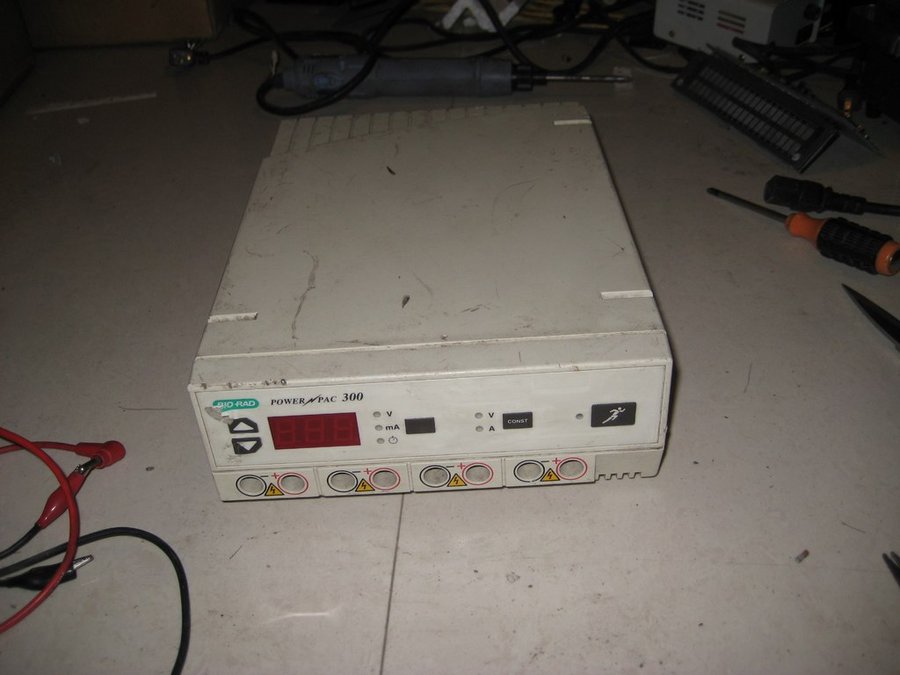 nEO_IMG_IMG_6033.jpg