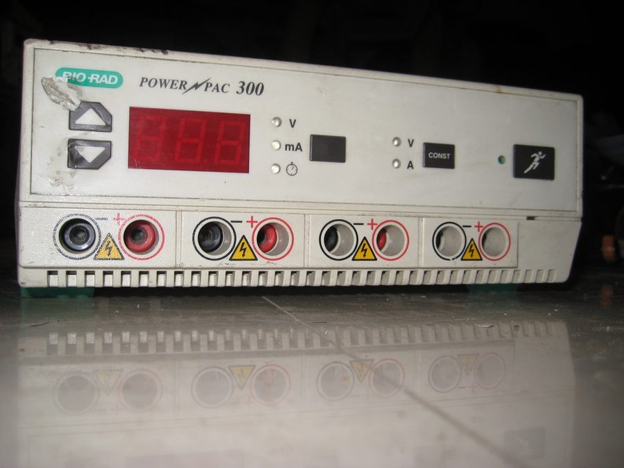 nEO_IMG_IMG_6034.jpg