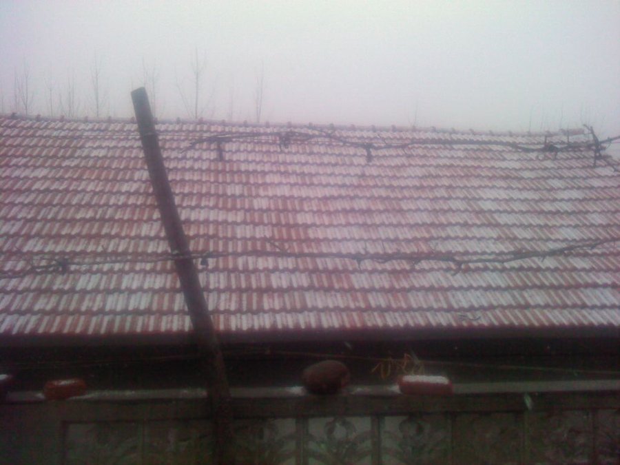 2012-03-04-225.jpg