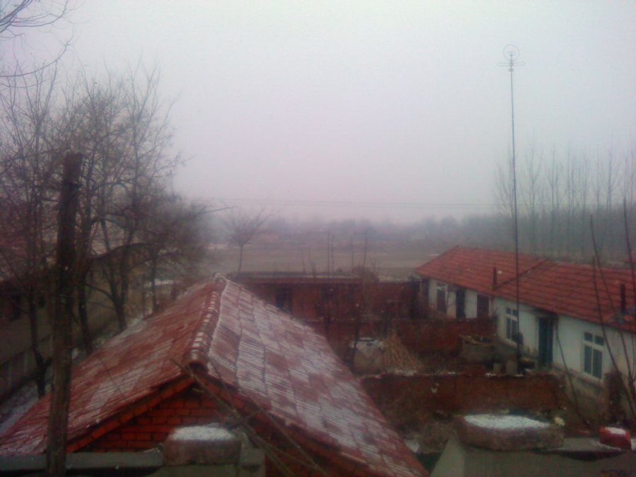 2012-03-04-226.jpg