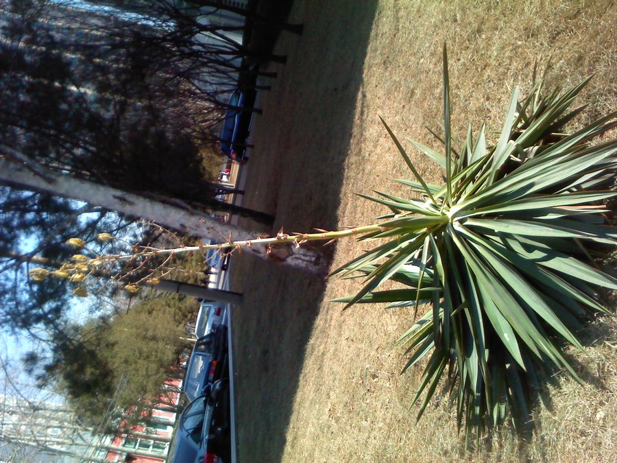 2012-03-12-106.jpg
