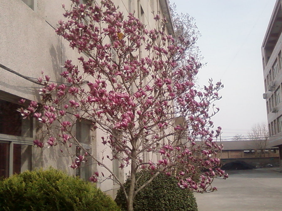 20110330(001).jpg