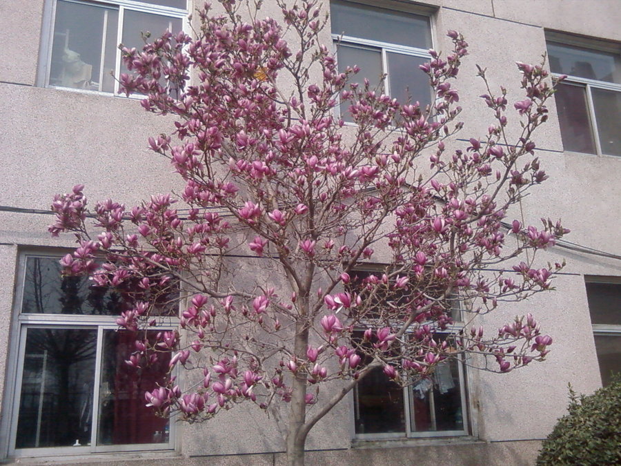 20110330(003).jpg