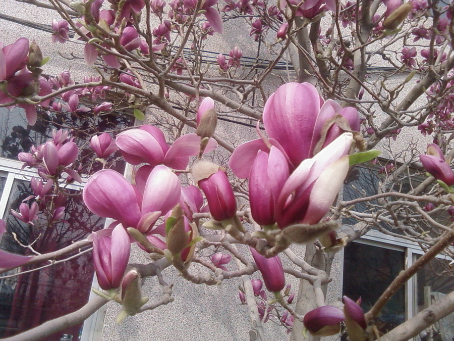 20110330(004).jpg