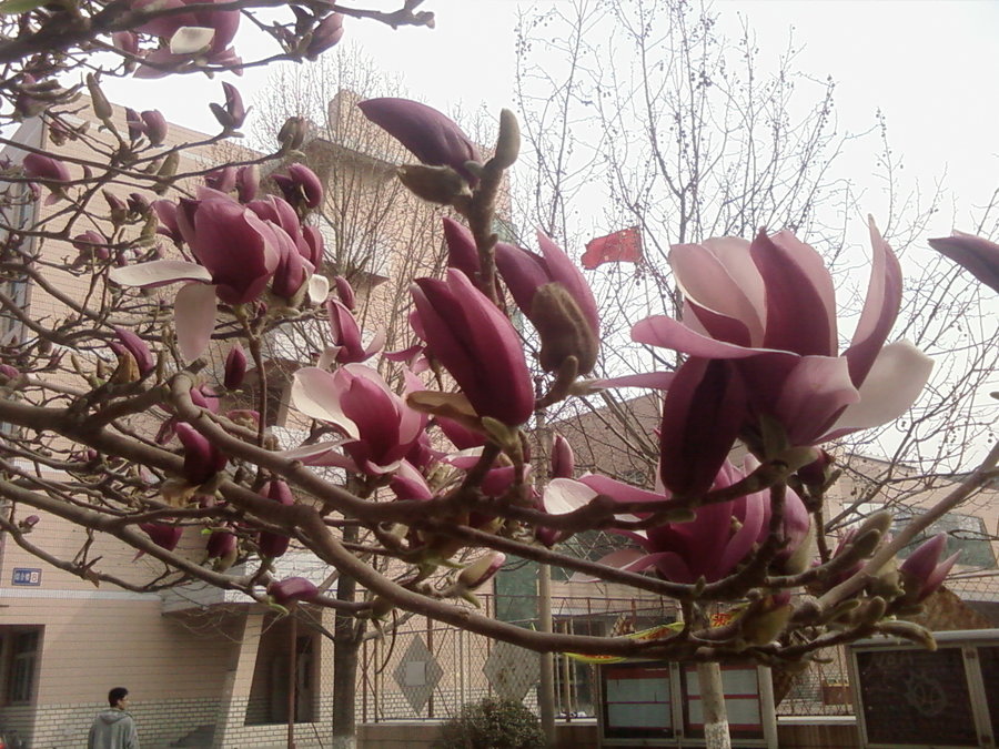 20110330(005).jpg