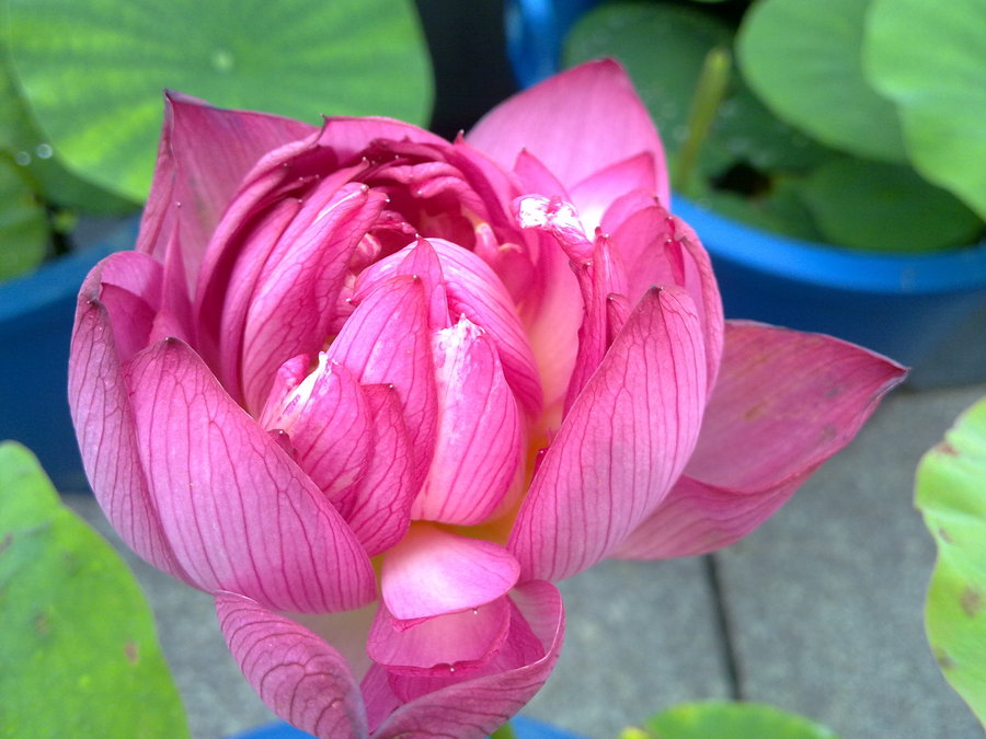 20110612499.jpg