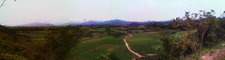 IMAG0145.jpg