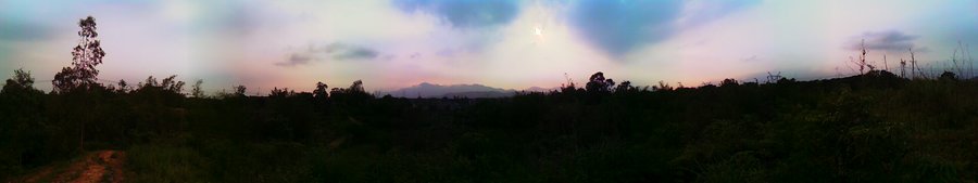 IMAG0147.jpg