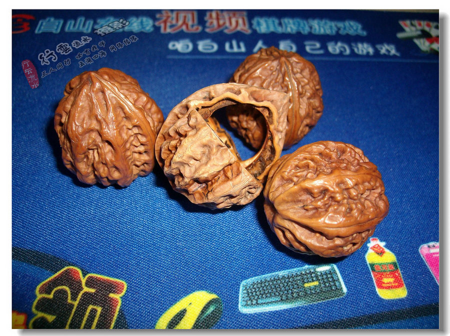 IMG05182.jpg