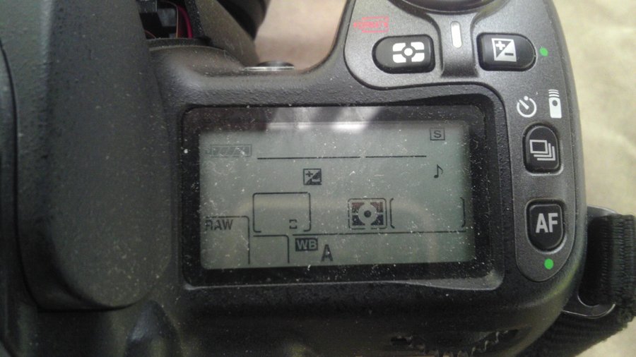 IMAG0012.jpg