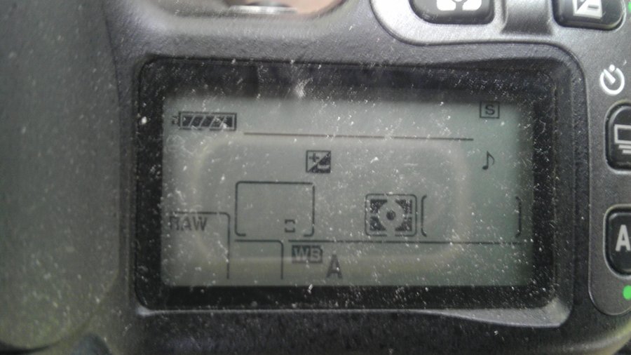 IMAG0013.jpg