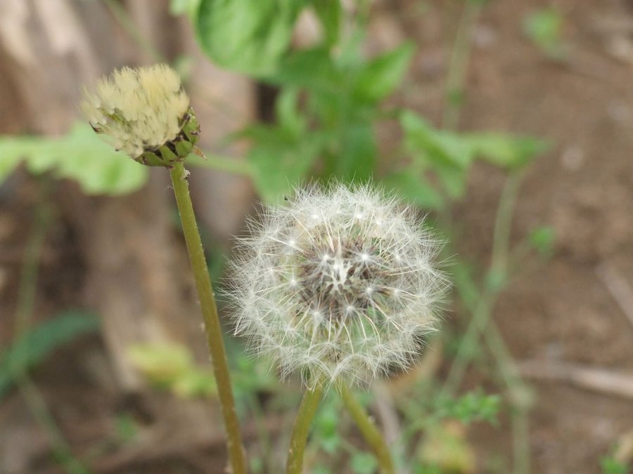 DSCF5498.JPG