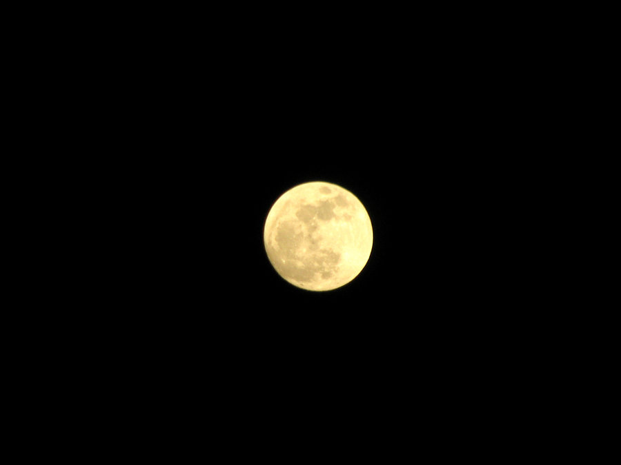 照片 006c.jpg