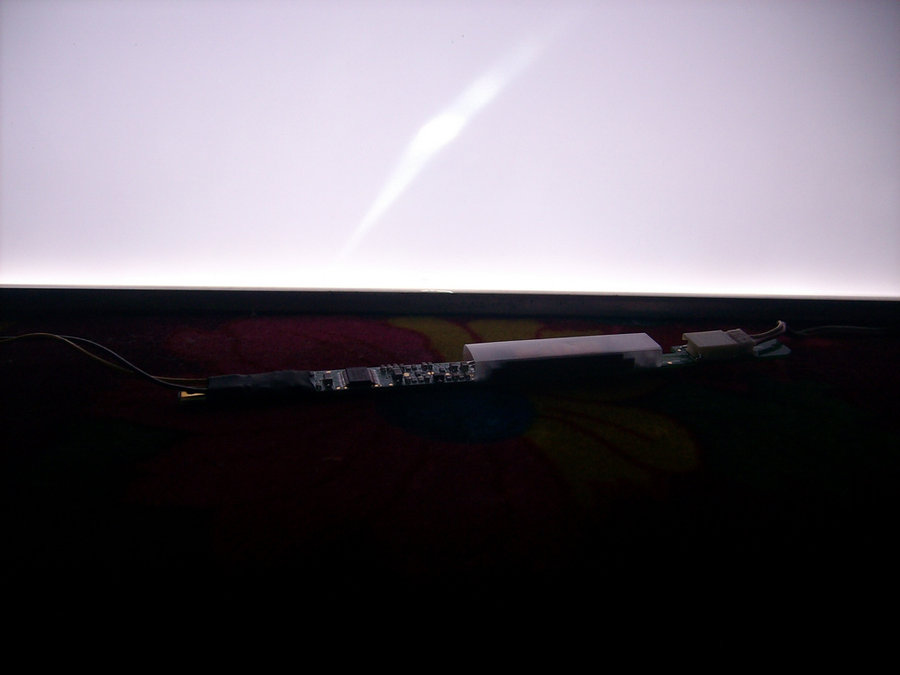 IMG05213.jpg