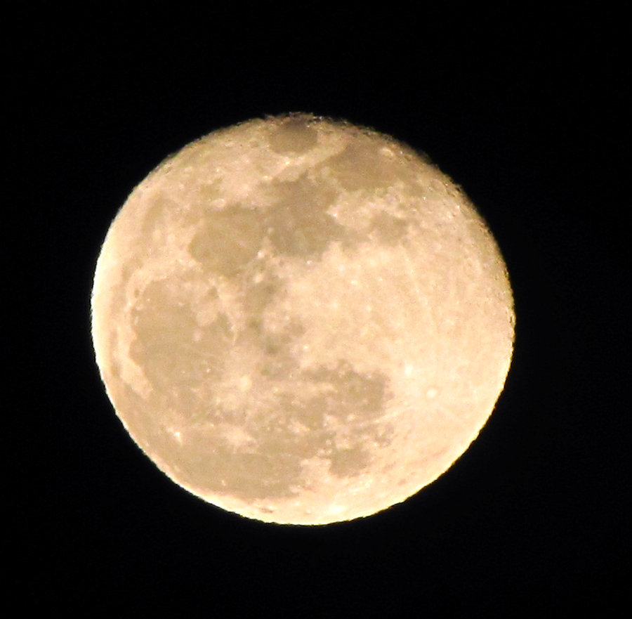IMG_1854.JPG