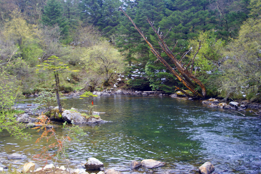 _DSC3067.jpg