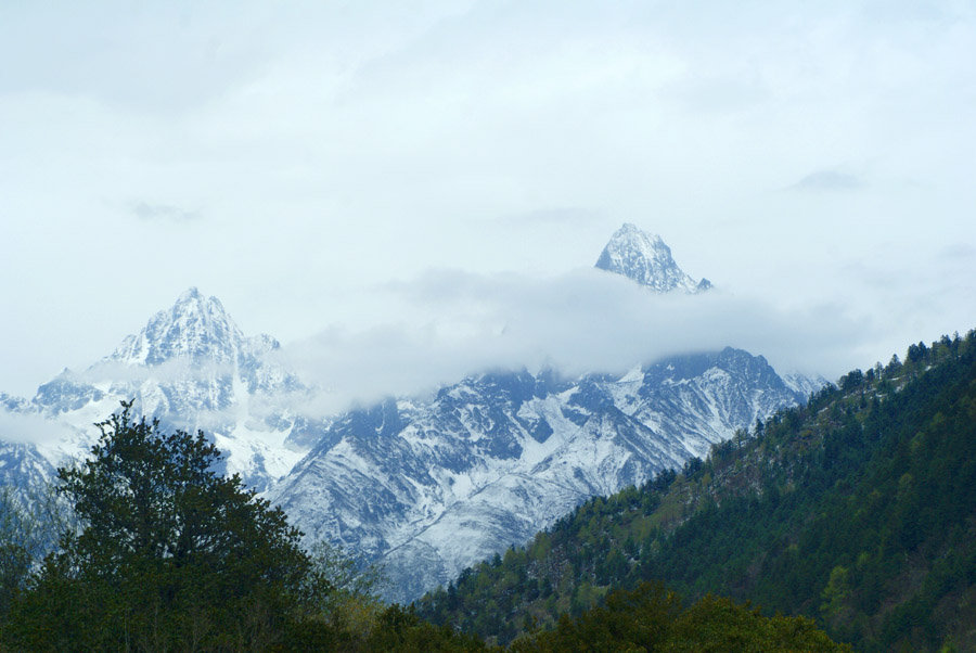 _DSC3042.jpg