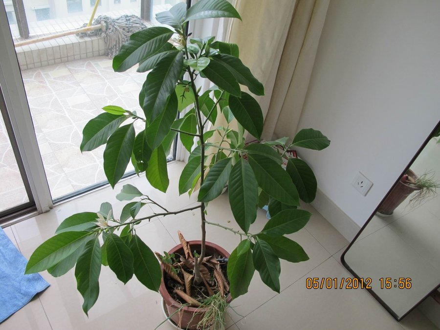 调整大小 照片 155.jpg