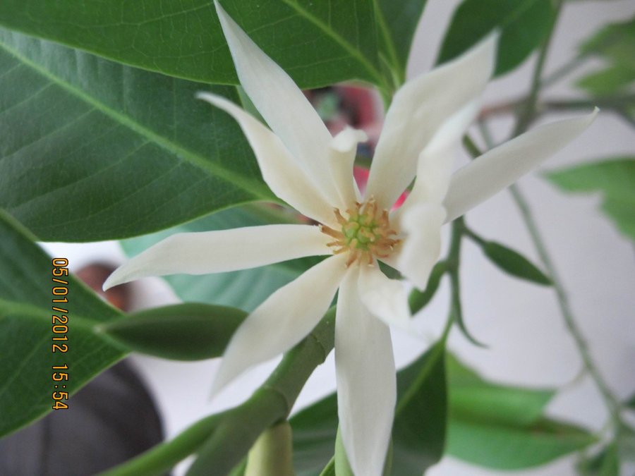 调整大小 照片 149.jpg