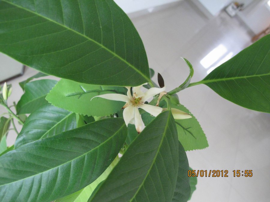 调整大小 照片 151.jpg